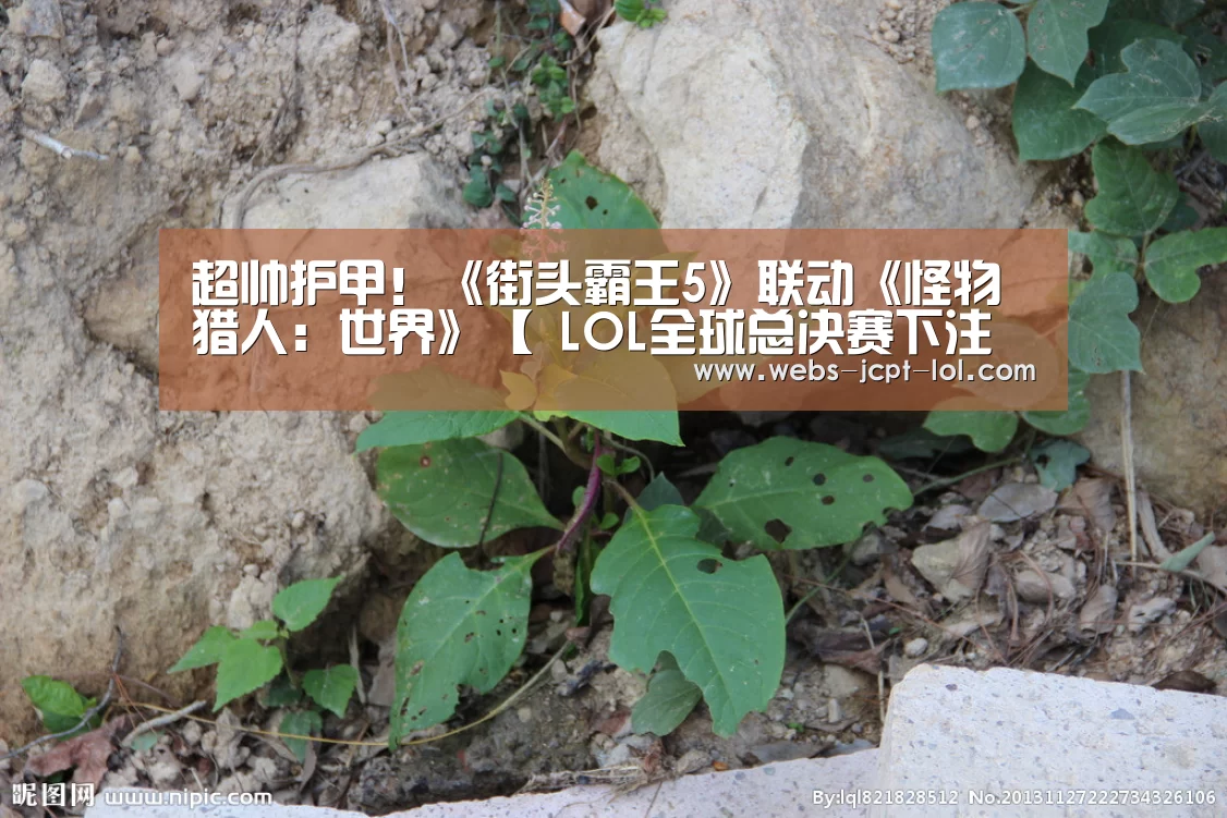 超帅护甲!《街头霸王5》联动《怪物猎人:世界》【 LOL全球总决赛下注官方网站】(图2) 英雄联盟竞猜大厅